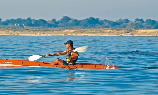 BIC Scapa Fit<input type="hidden" class="is-post-family-safe" value="true">