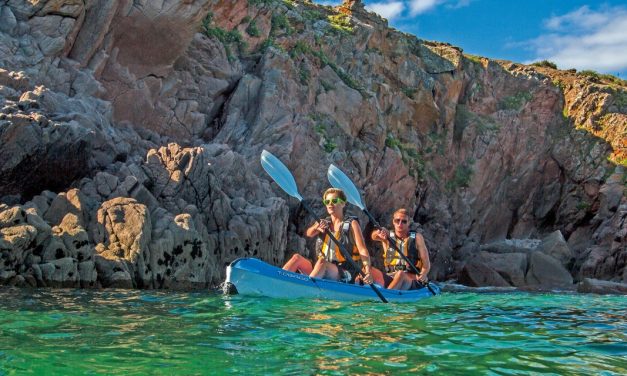 BIC Tobago<input type="hidden" class="is-post-family-safe" value="true">