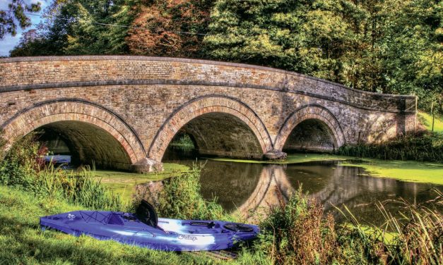 Tootega Prophecy 110<input type="hidden" class="is-post-family-safe" value="true">