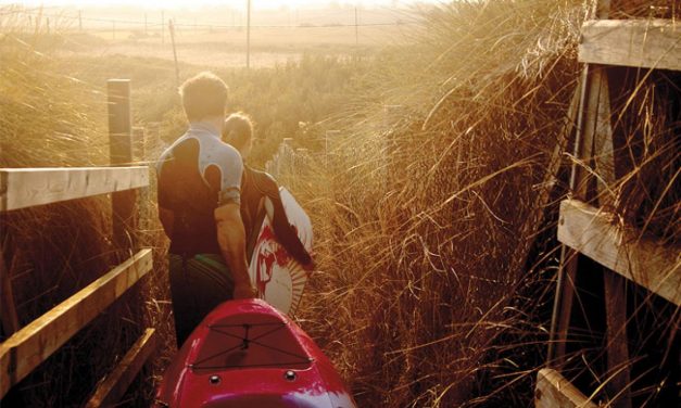 Tootega Pulse 95<input type="hidden" class="is-post-family-safe" value="true">