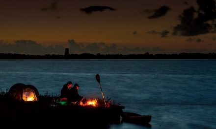 Tootega Sector 135<input type="hidden" class="is-post-family-safe" value="true">