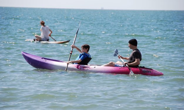 Perception Scooter Gemini<input type="hidden" class="is-post-family-safe" value="true">