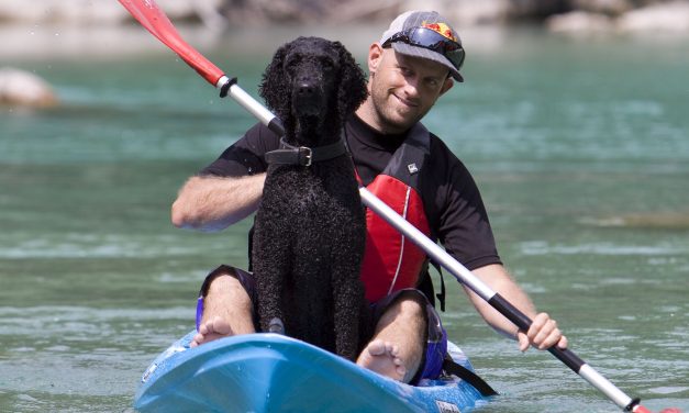 Islander Calypso Sport<input type="hidden" class="is-post-family-safe" value="true">