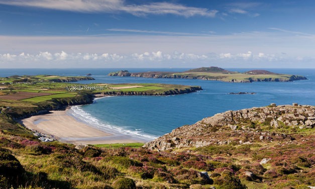 Whitesands Bay, Pembrokeshire<input type="hidden" class="is-post-family-safe" value="true">