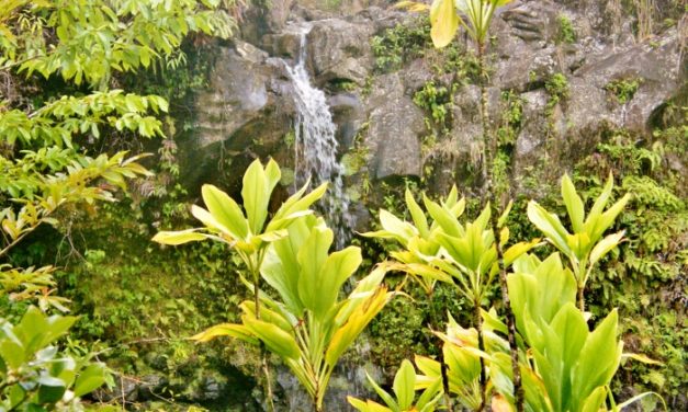 Maui, Hawaii<input type="hidden" class="is-post-family-safe" value="true">