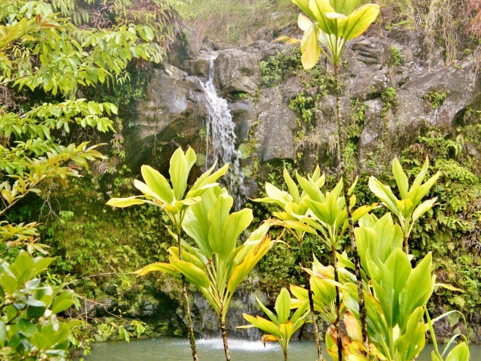 Maui, Hawaii<input type="hidden" class="is-post-family-safe" value="true">