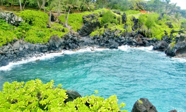 Maui, Hawaii<input type="hidden" class="is-post-family-safe" value="true">