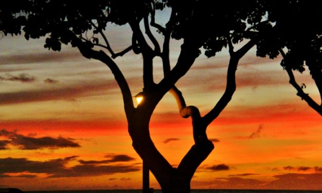 Maui, Hawaii<input type="hidden" class="is-post-family-safe" value="true">