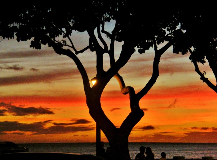 Maui, Hawaii<input type="hidden" class="is-post-family-safe" value="true">