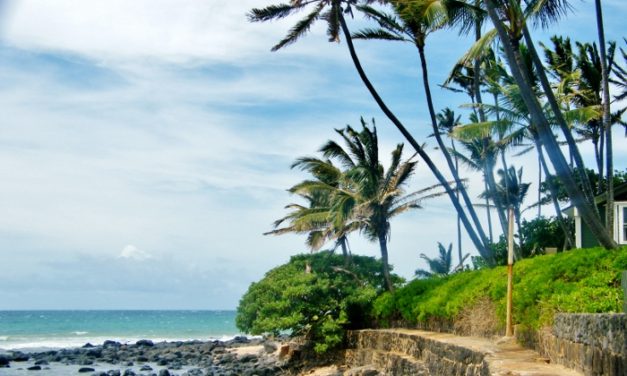 Maui, Hawaii<input type="hidden" class="is-post-family-safe" value="true">