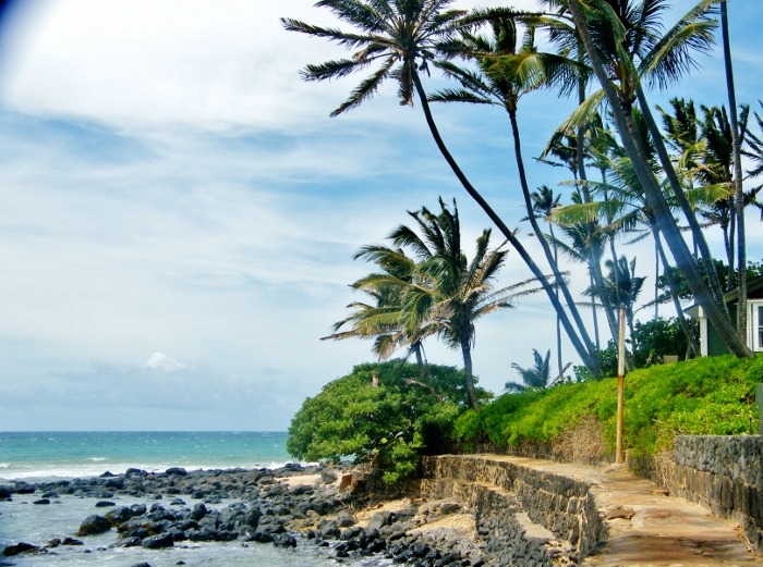 Maui, Hawaii<input type="hidden" class="is-post-family-safe" value="true">