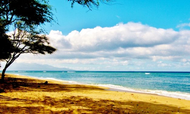Maui, Hawaii<input type="hidden" class="is-post-family-safe" value="true">