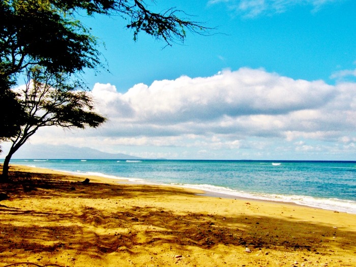 Maui, Hawaii<input type="hidden" class="is-post-family-safe" value="true">