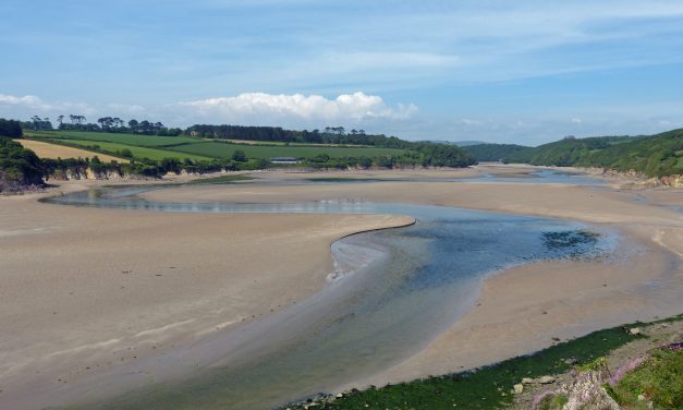 River Erme Estuary, South Devon<input type="hidden" class="is-post-family-safe" value="true">
