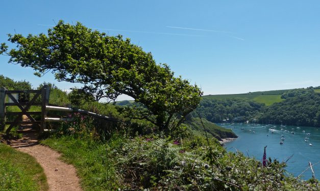 River Erme Estuary, South Devon<input type="hidden" class="is-post-family-safe" value="true">