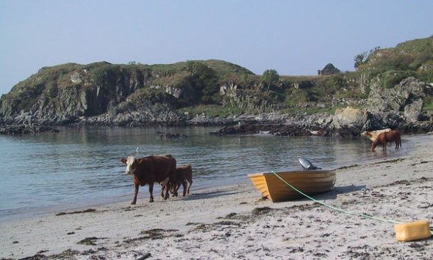 Uisken Beach, Isle of Mull<input type="hidden" class="is-post-family-safe" value="true">