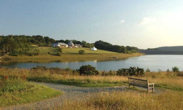 Roadford Lake, West Devon<input type="hidden" class="is-post-family-safe" value="true">