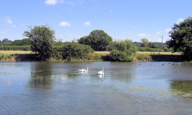 Manley Mere, Cheshire<input type="hidden" class="is-post-family-safe" value="true">