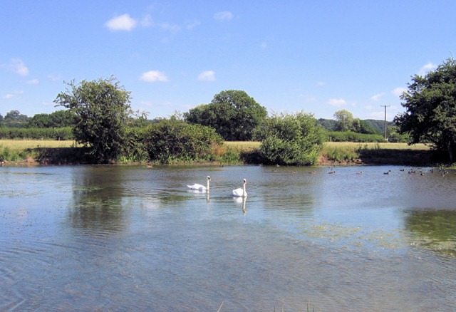 Manley Mere, Cheshire<input type="hidden" class="is-post-family-safe" value="true">