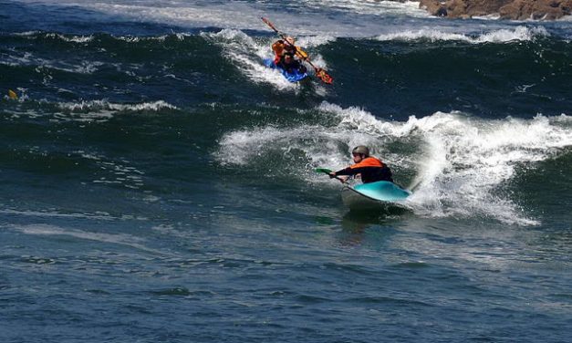 RPF Maori<input type="hidden" class="is-post-family-safe" value="true">