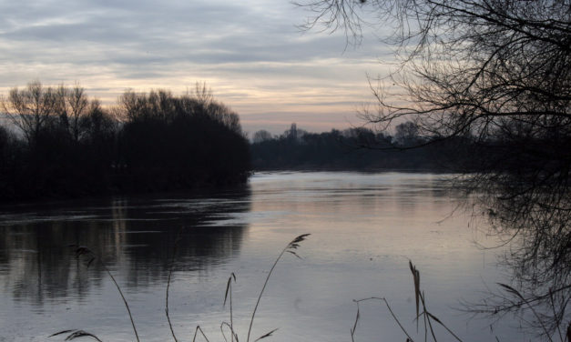 Severn Bore – Fretherne<input type="hidden" class="is-post-family-safe" value="true">