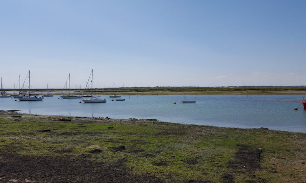 West Mersea, Essex<input type="hidden" class="is-post-family-safe" value="true">