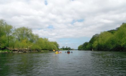 Nottingham Trent loop<input type="hidden" class="is-post-family-safe" value="true">