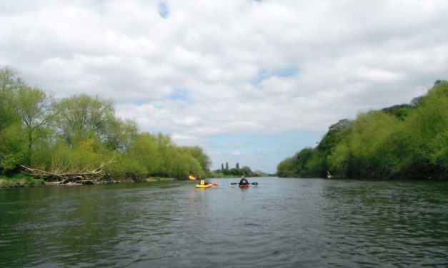 Nottingham Trent loop<input type="hidden" class="is-post-family-safe" value="true">