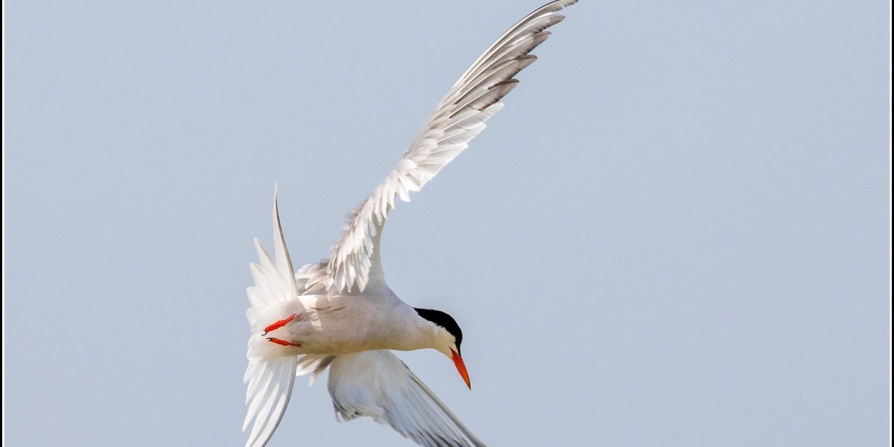 Studland to Swanage, Dorset<input type="hidden" class="is-post-family-safe" value="true">