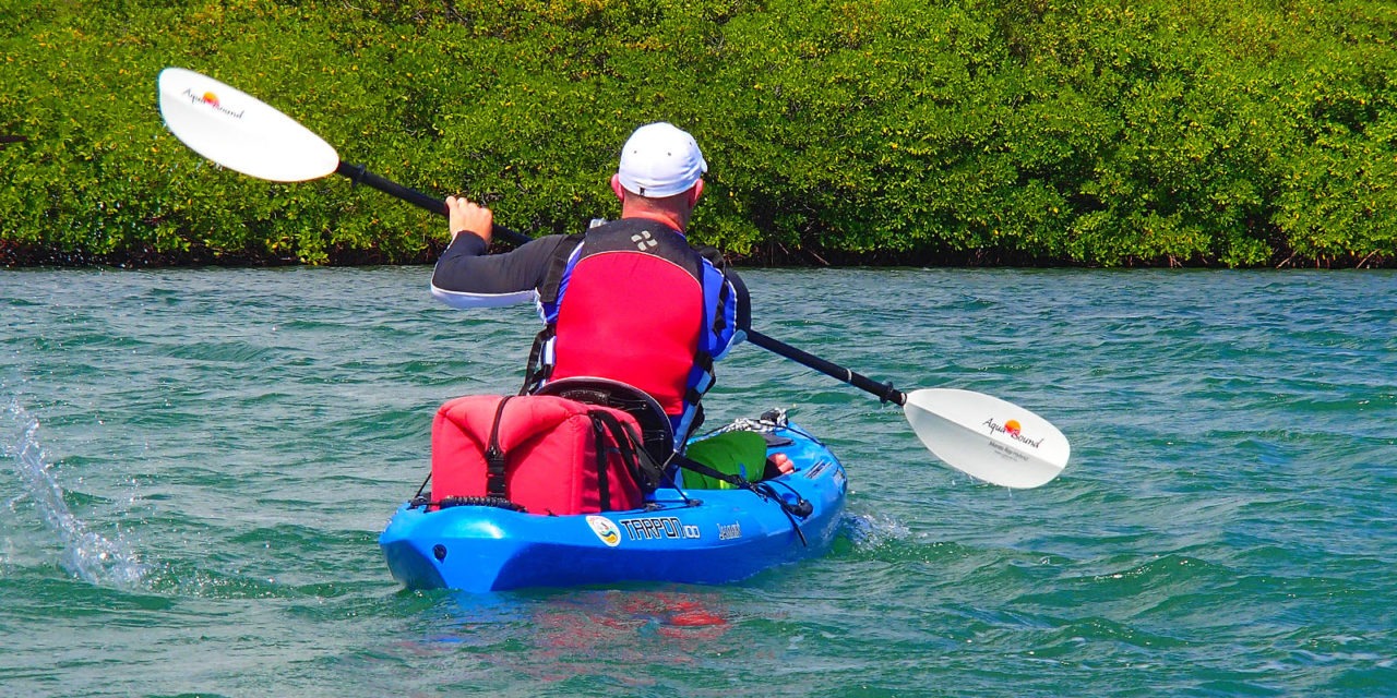 Kayak touring essentials – home and away<input type="hidden" class="is-post-family-safe" value="true">