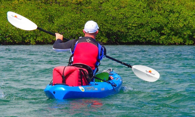 Kayak touring essentials – home and away<input type="hidden" class="is-post-family-safe" value="true">