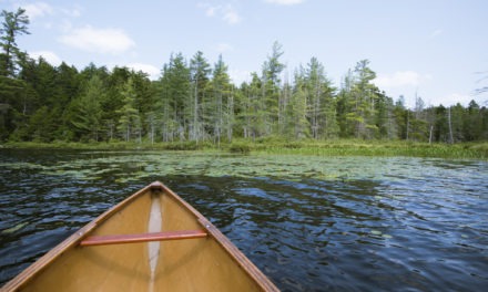 Travels with canoe<input type="hidden" class="is-post-family-safe" value="true">