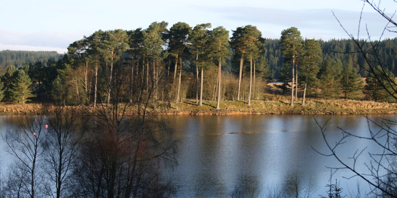 Kielder Water, Northumberland<input type="hidden" class="is-post-family-safe" value="true">