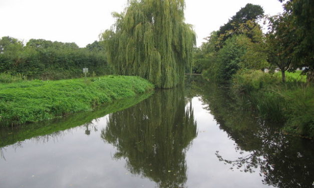River Brue, Westhay, Nr. Glastonbury<input type="hidden" class="is-post-family-safe" value="true">