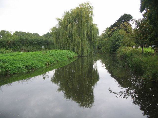River Brue, Westhay, Nr. Glastonbury<input type="hidden" class="is-post-family-safe" value="true">