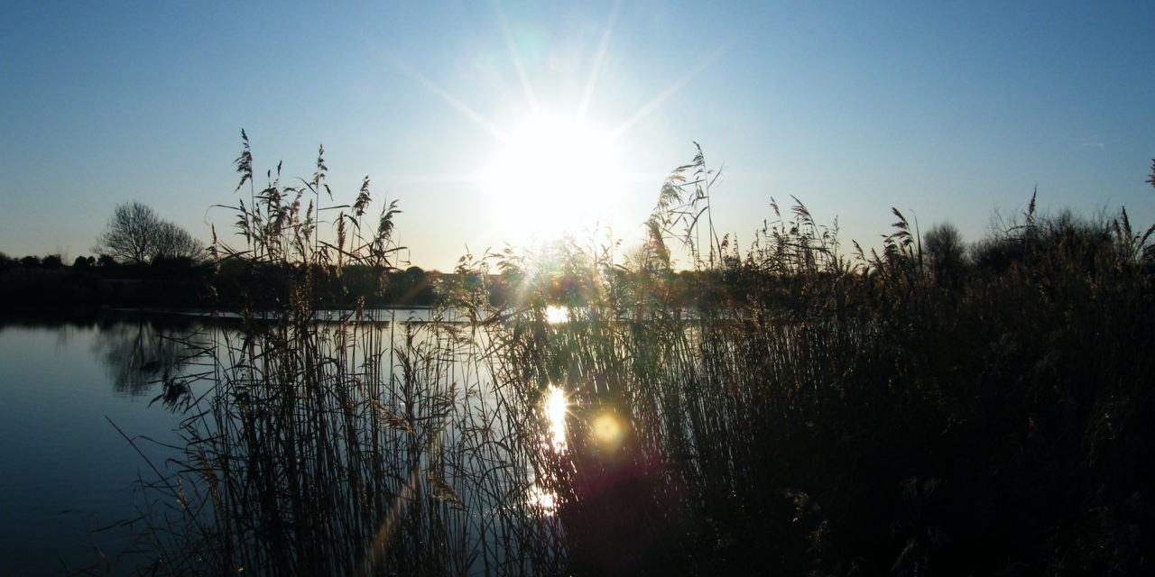 River Brue, Westhay, Nr. Glastonbury<input type="hidden" class="is-post-family-safe" value="true">