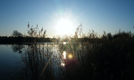 River Brue, Westhay, Nr. Glastonbury<input type="hidden" class="is-post-family-safe" value="true">