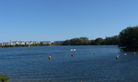 Leybourne Lakes Country Park, Kent<input type="hidden" class="is-post-family-safe" value="true">
