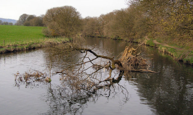 Burrs Activity Centre<input type="hidden" class="is-post-family-safe" value="true">