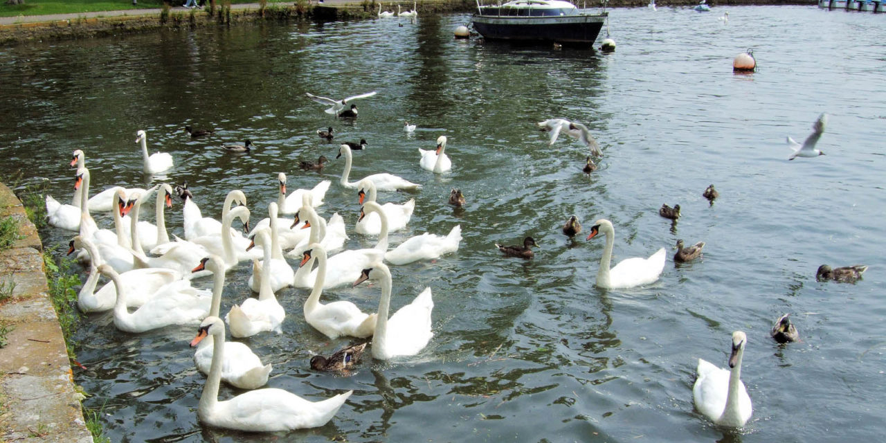 Christchurch Harbour, Dorset<input type="hidden" class="is-post-family-safe" value="true">