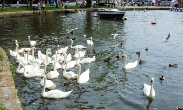 Christchurch Harbour, Dorset<input type="hidden" class="is-post-family-safe" value="true">
