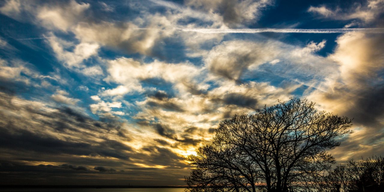 Southend-on-sea, Essex<input type="hidden" class="is-post-family-safe" value="true">