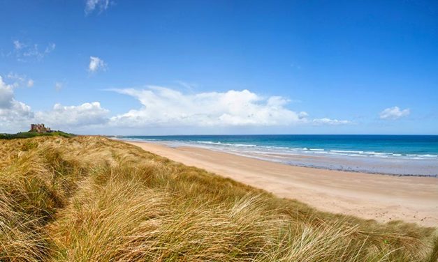 Bamburgh Beach, Northumberland<input type="hidden" class="is-post-family-safe" value="true">