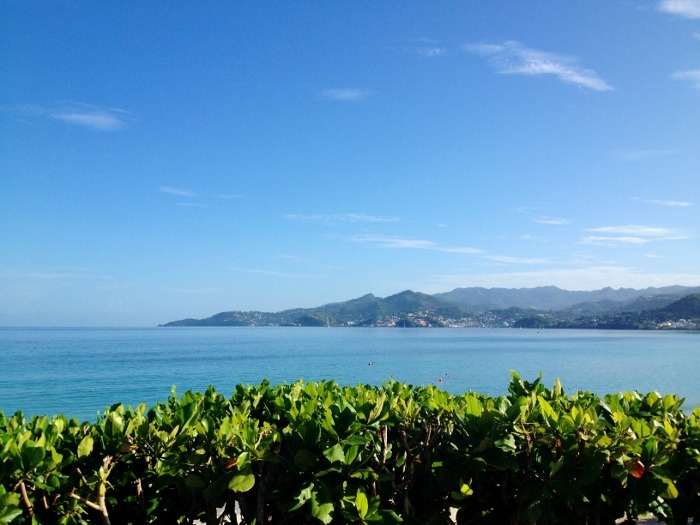 Grenada, Caribbean, West Indies<input type="hidden" class="is-post-family-safe" value="true">