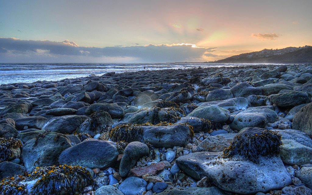 Charmouth Beach, Dorset<input type="hidden" class="is-post-family-safe" value="true">