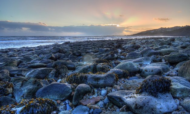 Charmouth Beach, Dorset<input type="hidden" class="is-post-family-safe" value="true">