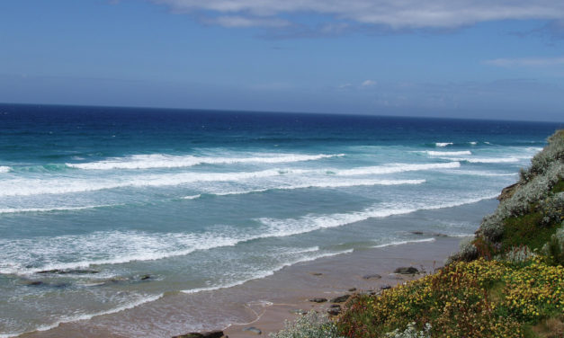 Newquay, Cornwall<input type="hidden" class="is-post-family-safe" value="true">