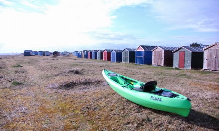 Dagger Roam 9.5<input type="hidden" class="is-post-family-safe" value="true">