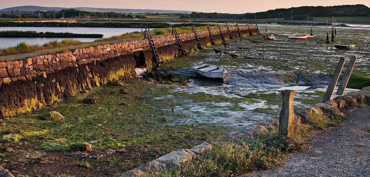 Newtown Estuary, Isle of Wight<input type="hidden" class="is-post-family-safe" value="true">