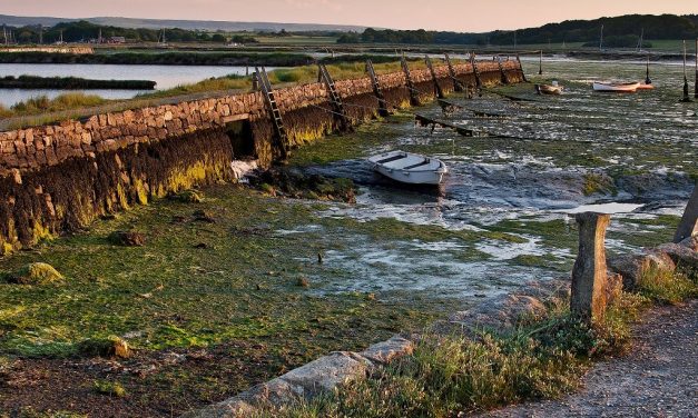 Newtown Estuary, Isle of Wight<input type="hidden" class="is-post-family-safe" value="true">